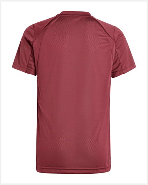Adidas Boys Club T-Shirt Burgundy