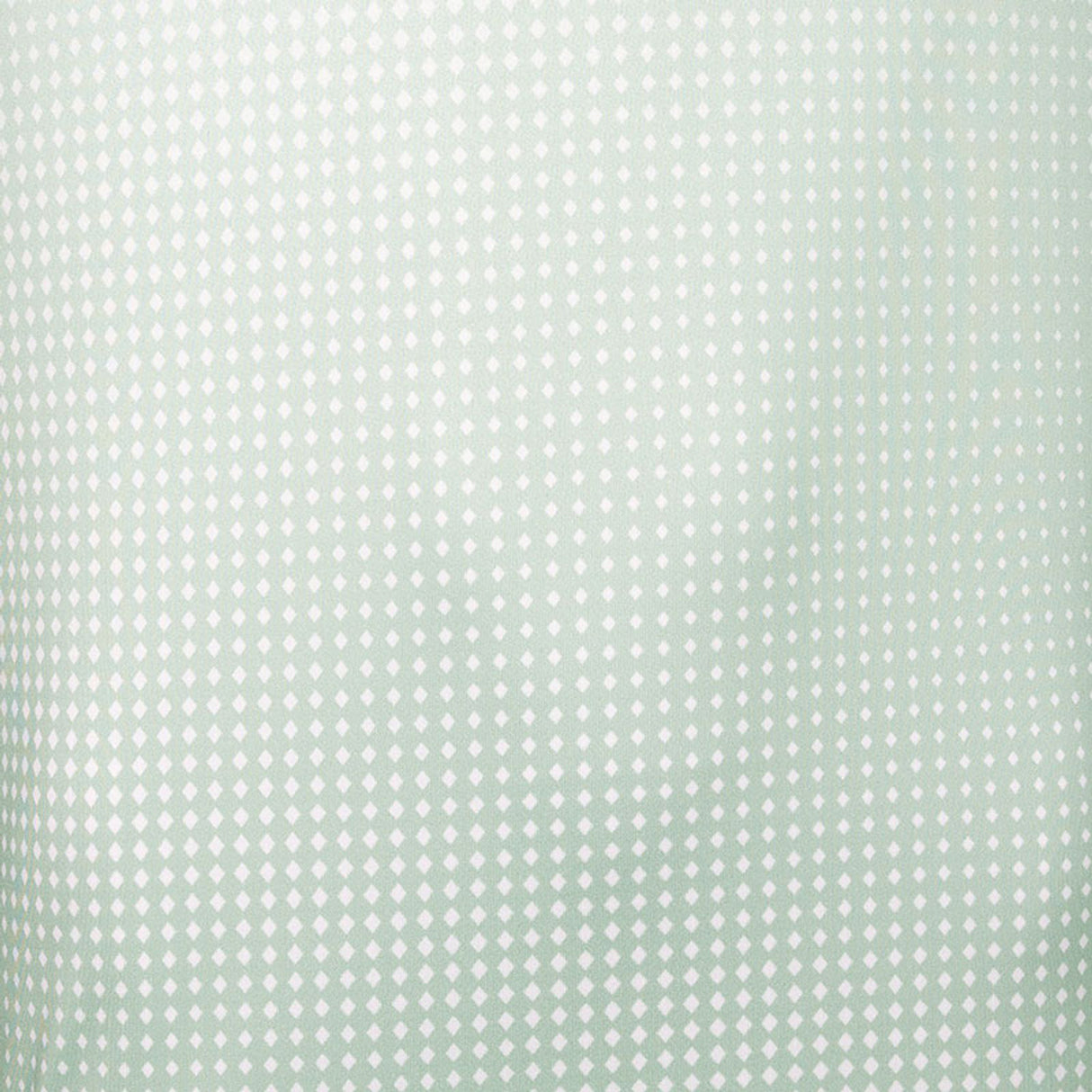 JDH Graphic T-Shirt Sage
